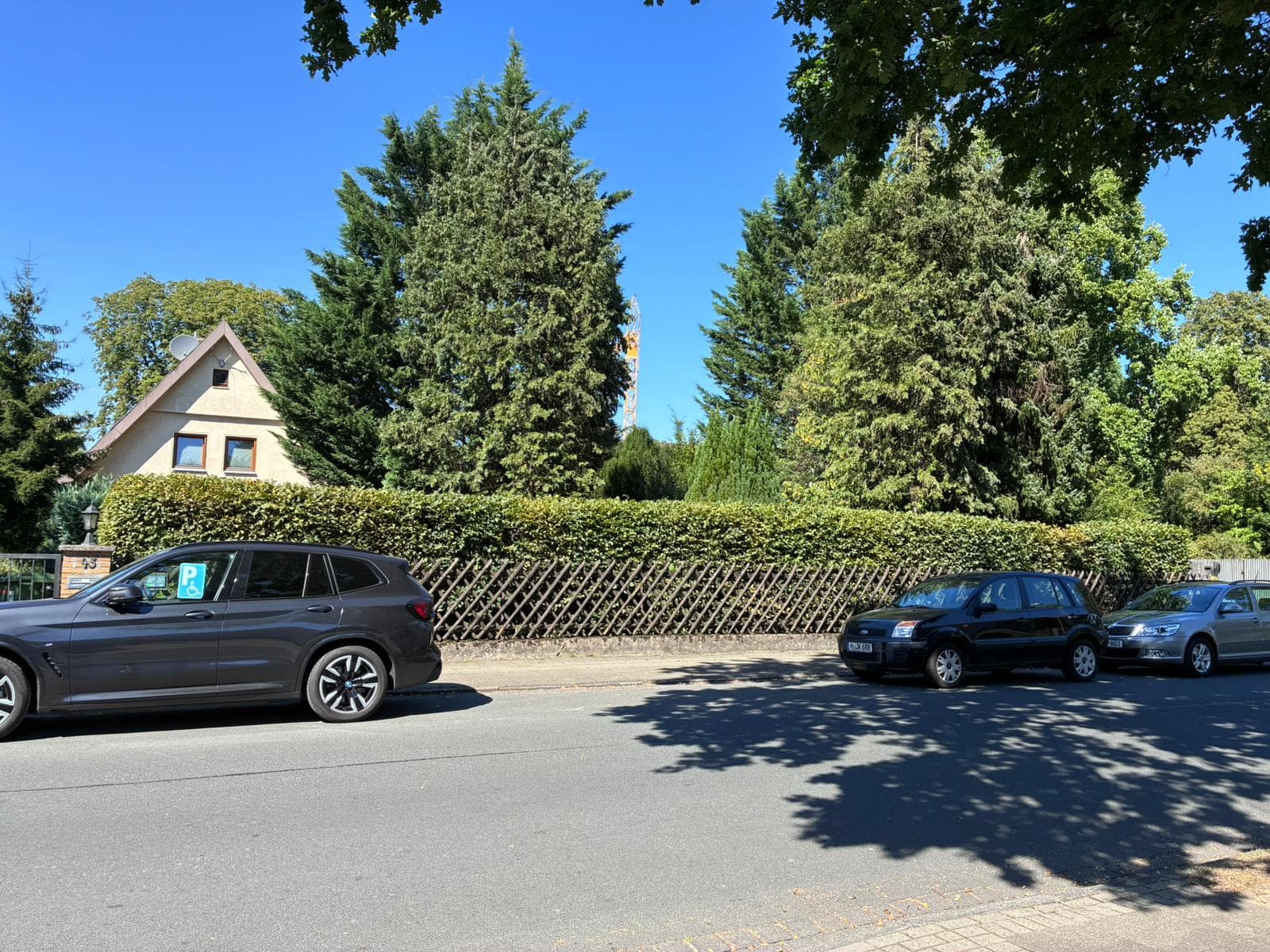 Heckenschnitt & Formschnitt