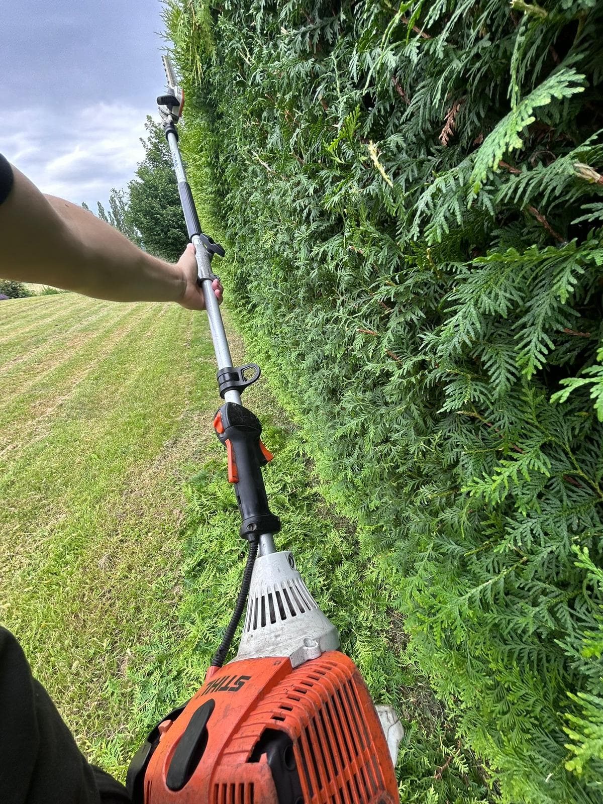 Gartenpflege Privat oder Gewerbe